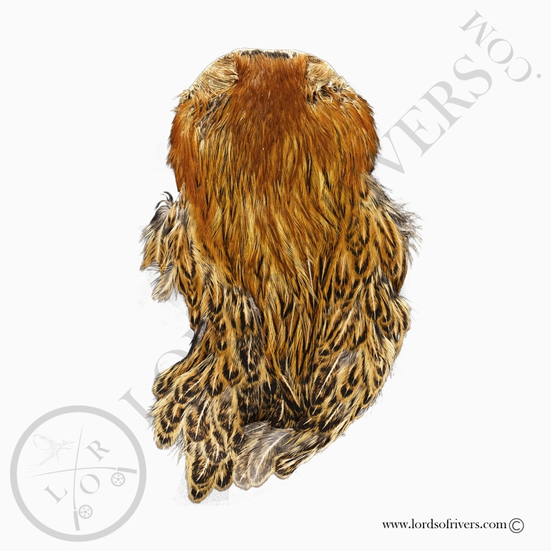 Indian Cock Cape Top Grade