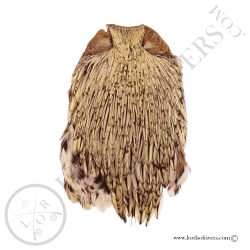 Indian Cock Cape Top Grade