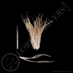 Emu - Body Feathers - Lords Of Rivers