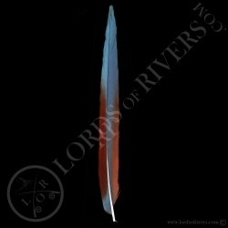 ara-a-ailes-vertes-plume-de-queue-latera