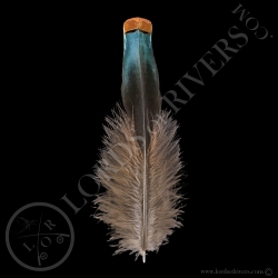 under-wing-cover-xl-2xl-3xl-feathers-oce