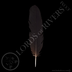 cacatoes-de-banks-grade-c-plumes-de-queu