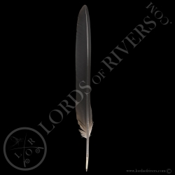 Grey Crowned-African Crane -Wing Cover Feather Type 3 Black-Lords Of Rivers